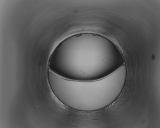 X0000091721532200708241007