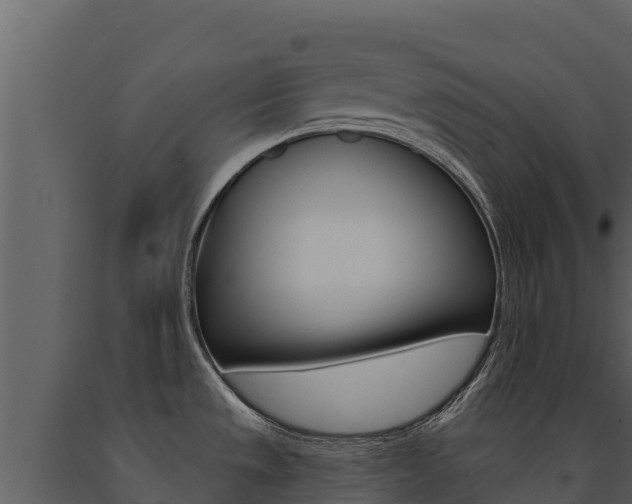 X0000091721533200708241007