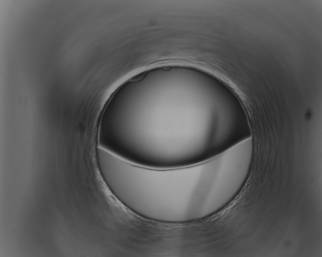 X0000091721534200708241007