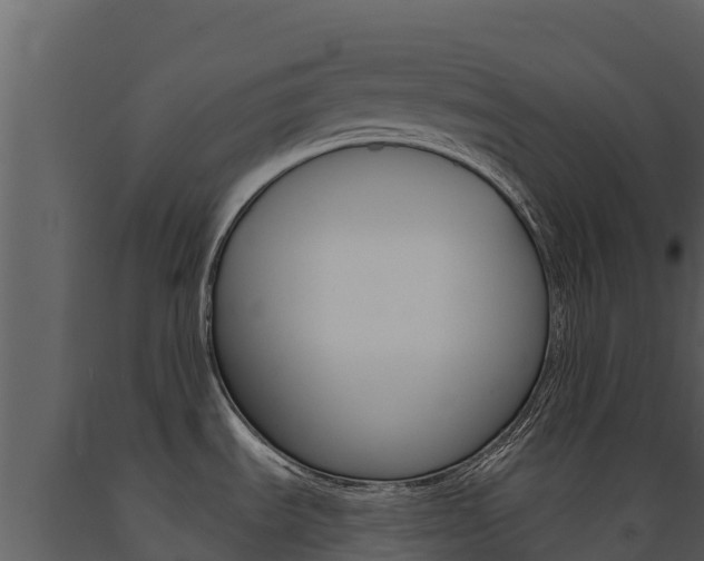 X0000091721535200708241007