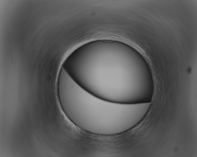 X0000091721536200708241007