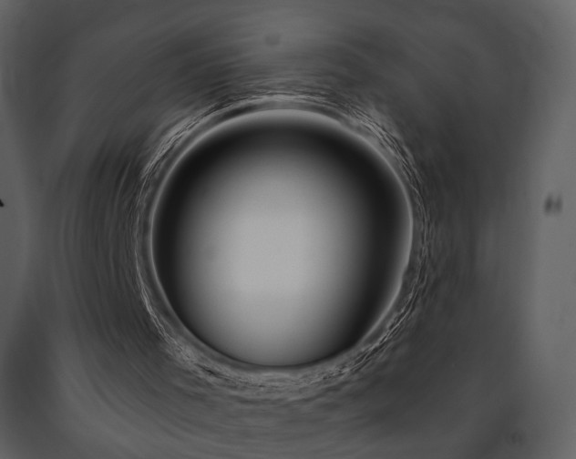X0000091720001200708241400