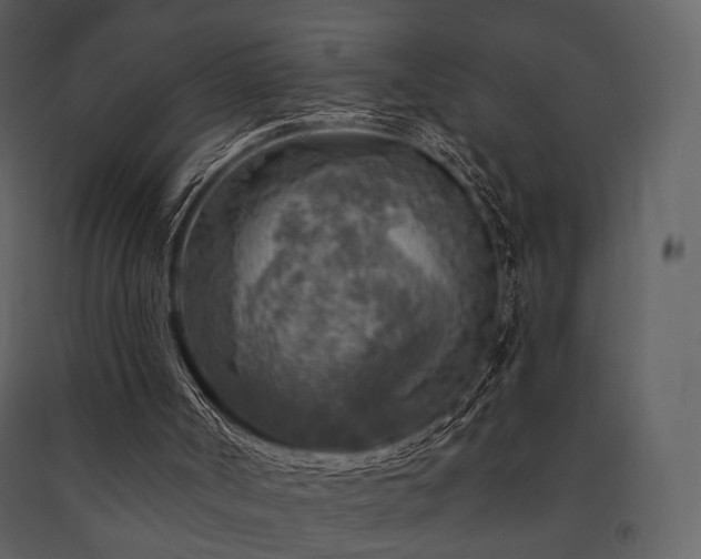 X0000091720002200708241400
