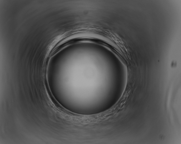 X0000091720003200708241400