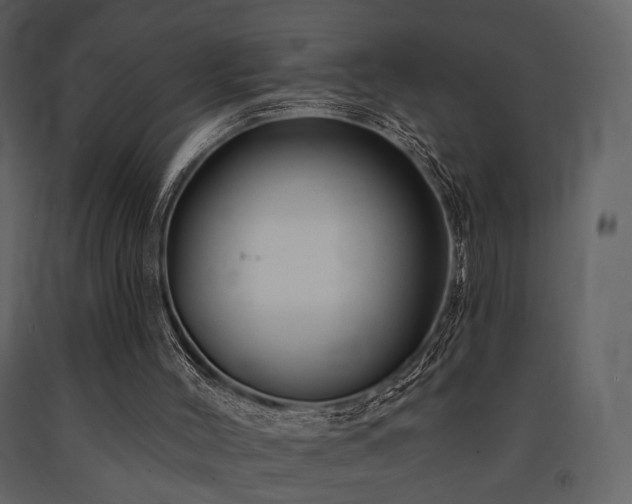 X0000091720004200708241400