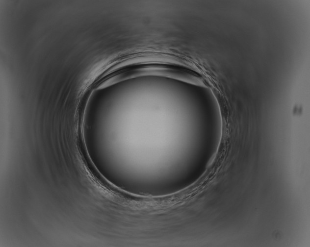 X0000091720005200708241400