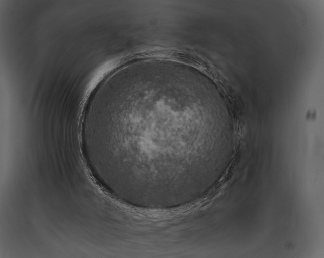 X0000091720006200708241400