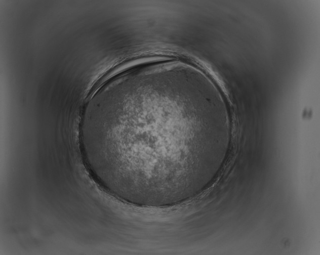 X0000091720010200708241400