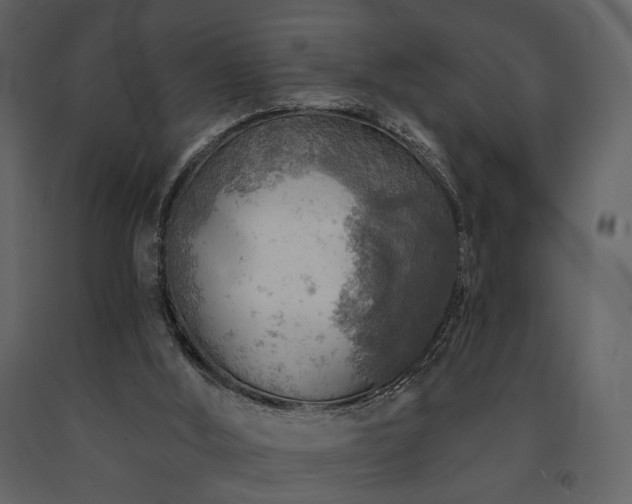 X0000091720012200708241400