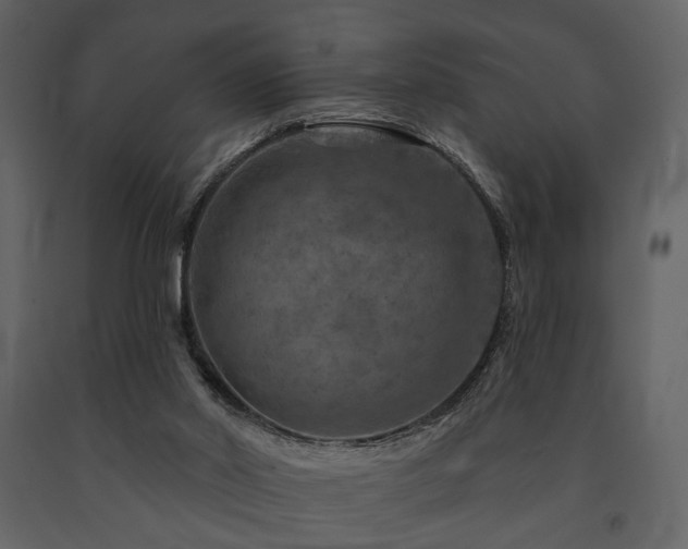 X0000091720014200708241400