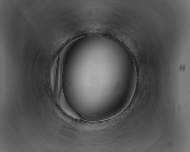 X0000091720017200708241400