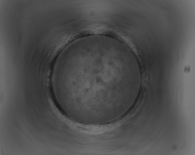 X0000091720018200708241400