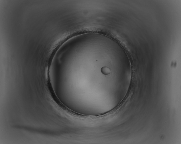 X0000091720019200708241400