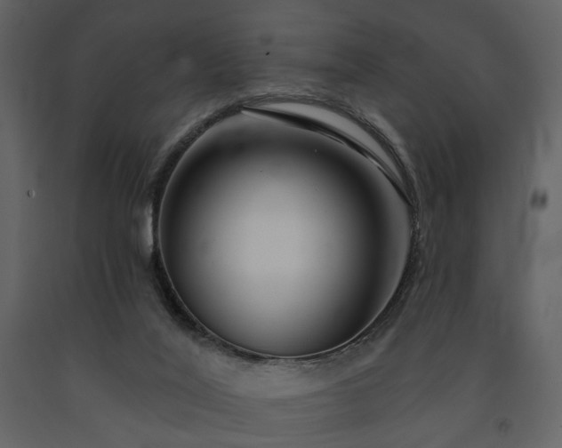 X0000091720020200708241400