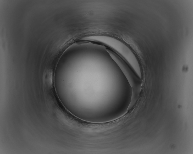 X0000091720021200708241400