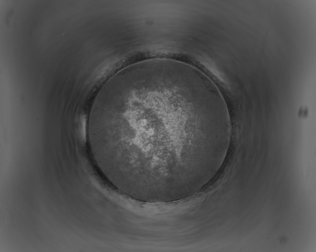 X0000091720022200708241359