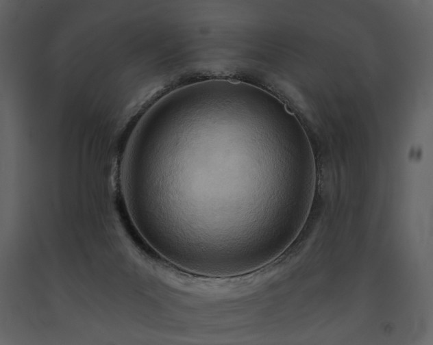X0000091720023200708241359