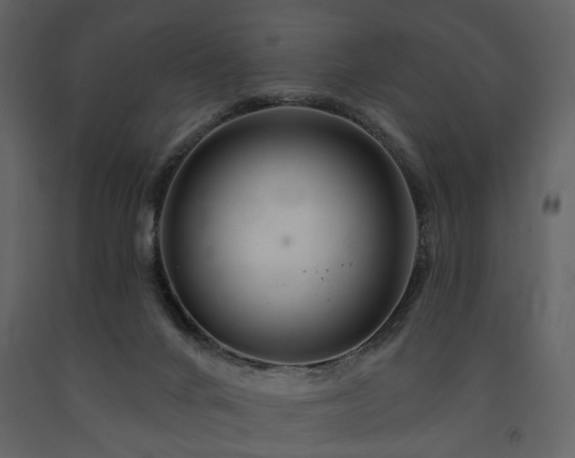 X0000091720024200708241359