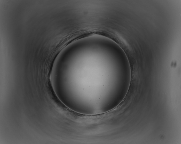 X0000091720025200708241359