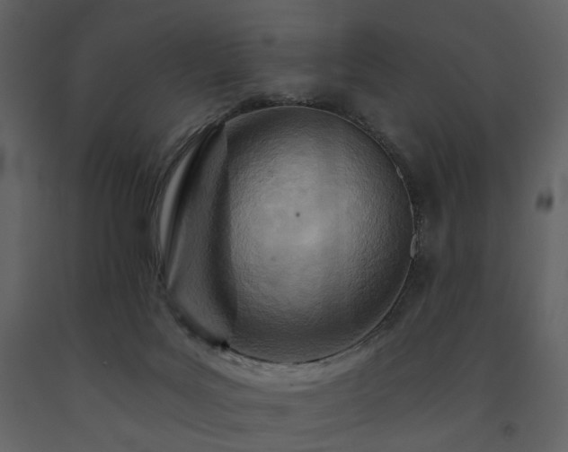 X0000091720027200708241359