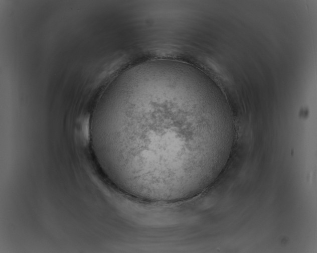 X0000091720028200708241359