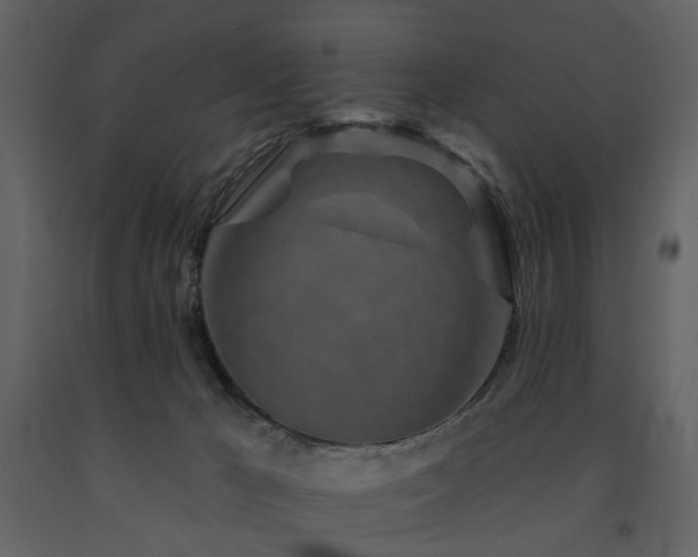X0000091720029200708241359