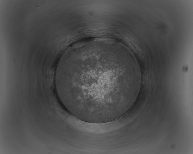 X0000091720030200708241359