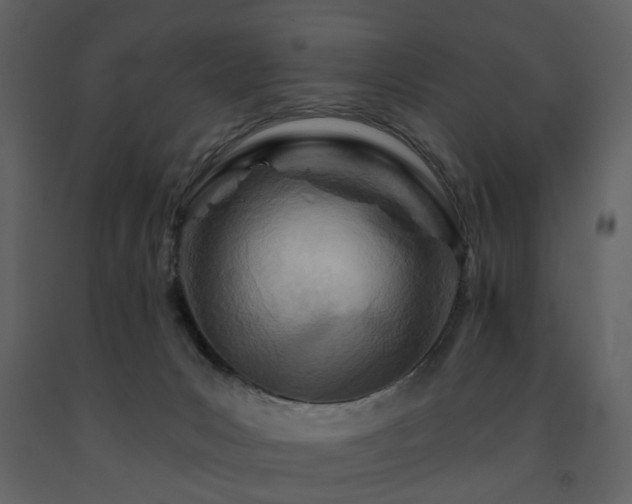 X0000091720031200708241359