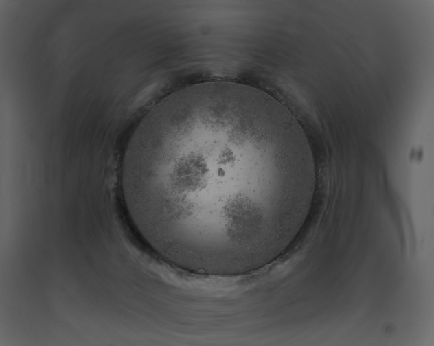 X0000091720032200708241359