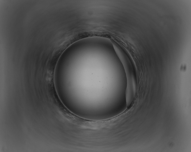 X0000091720033200708241359
