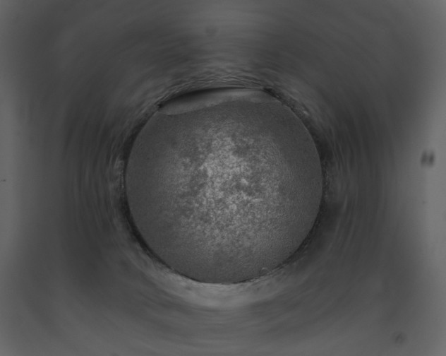 X0000091720034200708241359