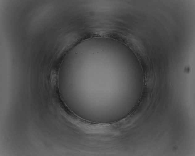 X0000091720036200708241359