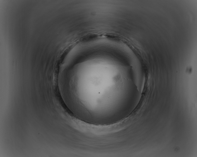 X0000091720039200708241359