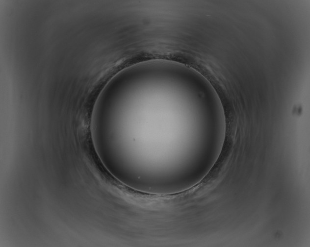 X0000091720040200708241359