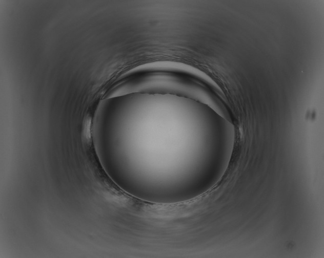 X0000091720041200708241359