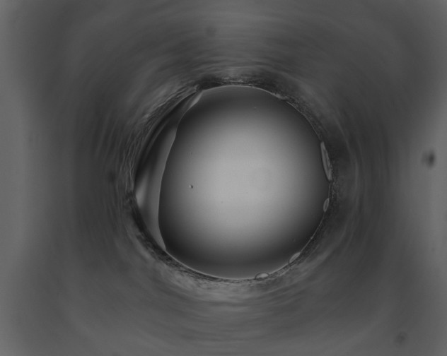 X0000091720044200708241359