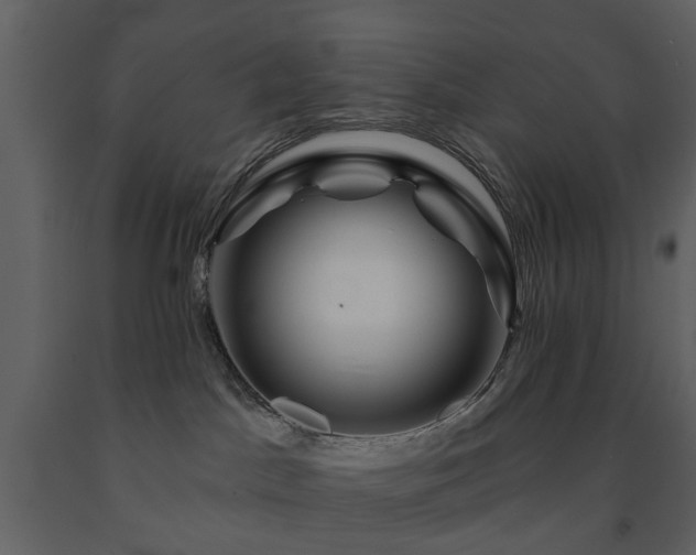X0000091720045200708241359