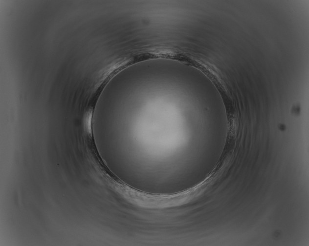 X0000091720047200708241359