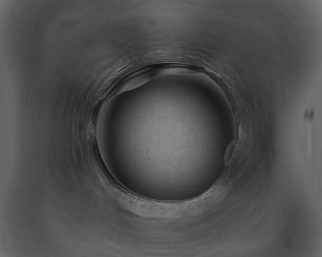 X0000091720048200708241359