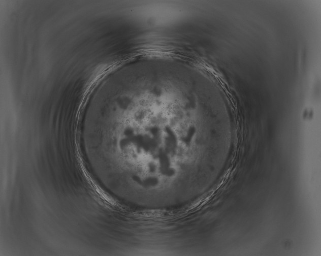 X0000091720049200708241358