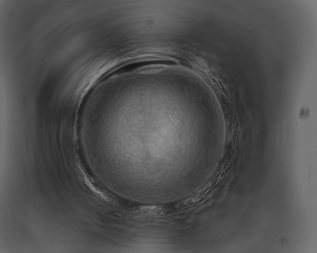 X0000091720050200708241358