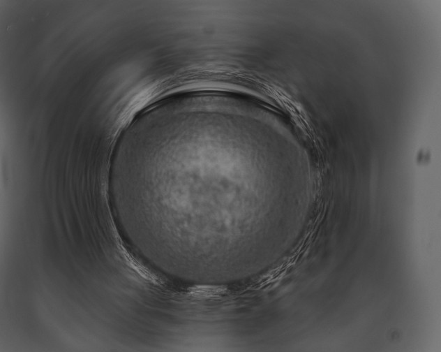 X0000091720051200708241358