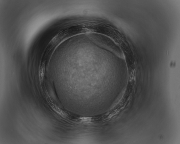 X0000091720052200708241359