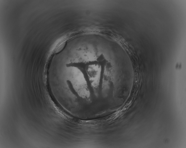 X0000091720053200708241359