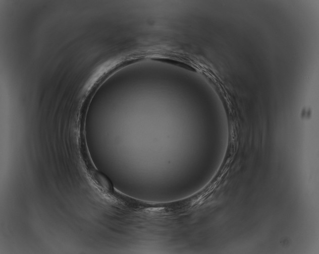 X0000091720054200708241359