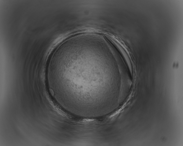 X0000091720055200708241359