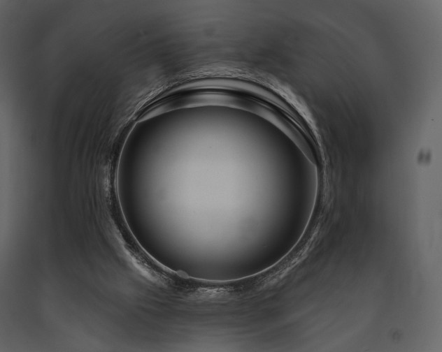 X0000091720057200708241359