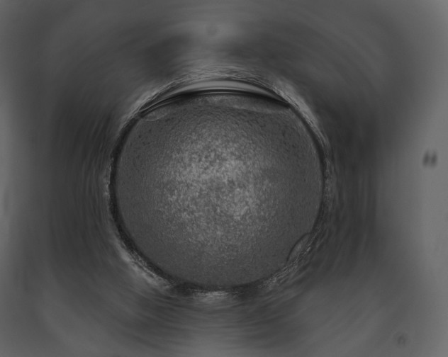 X0000091720058200708241359