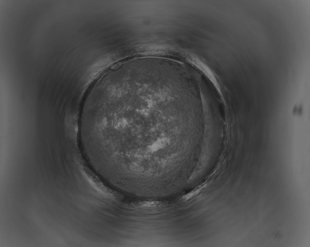 X0000091720059200708241359