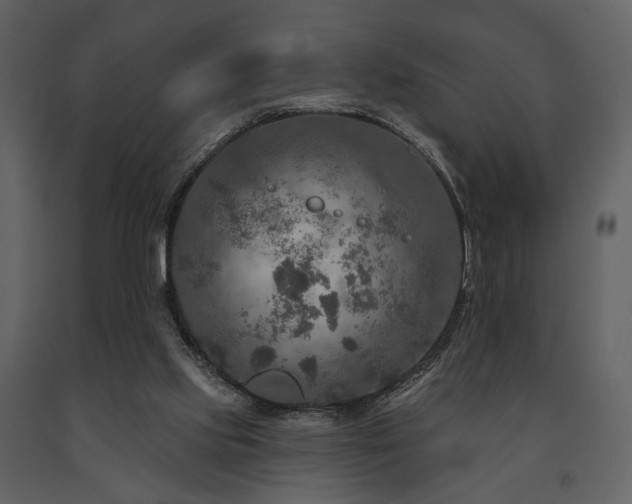 X0000091720061200708241359